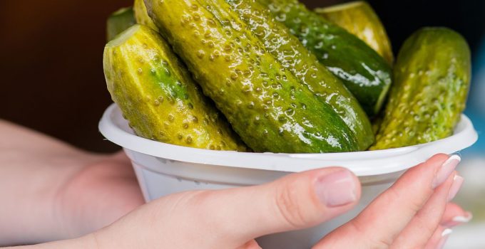 hands holding white bowl of dill pickles - a keto free food