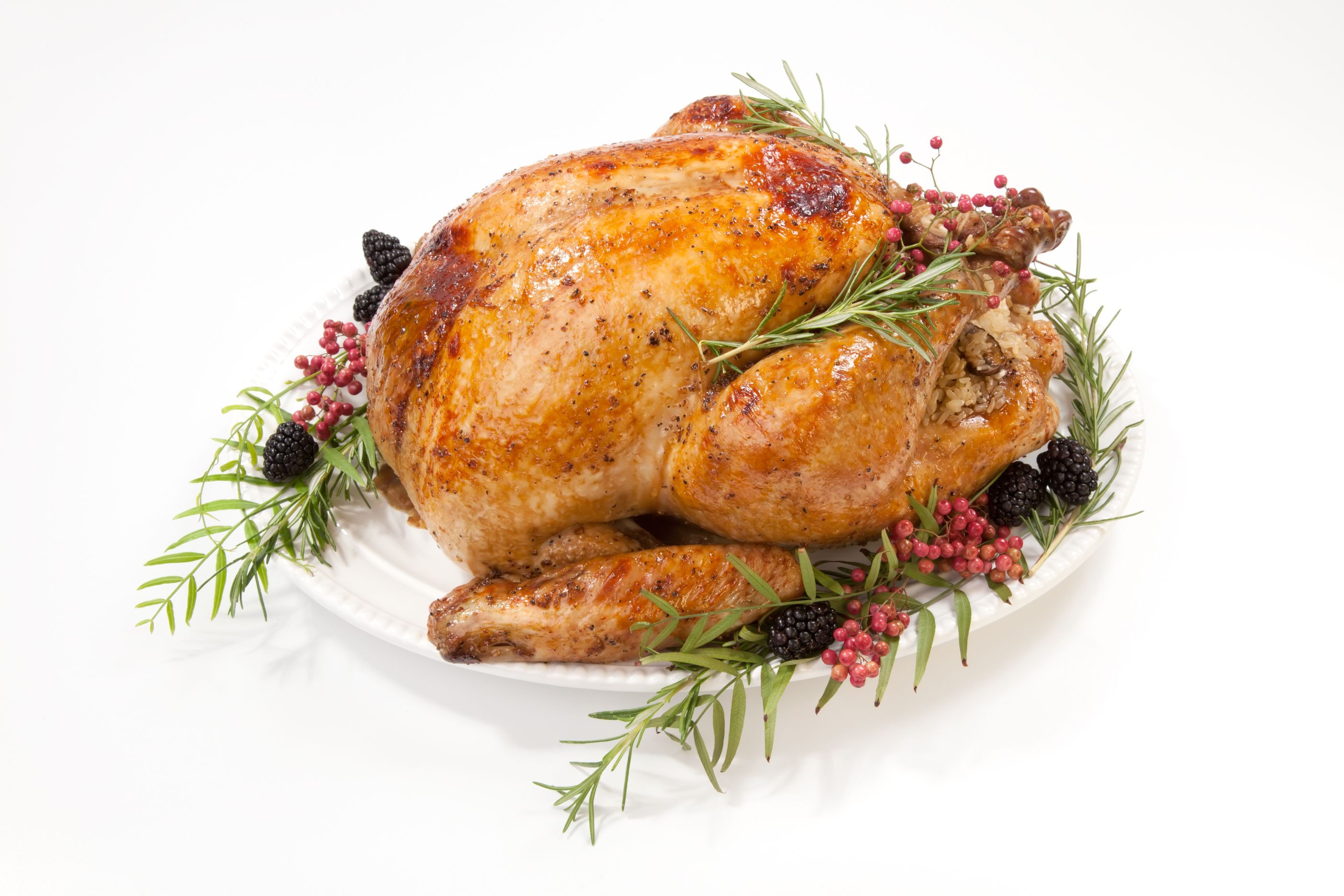 Oven roasted herb turkey on a white plate garnished with fresh herbs